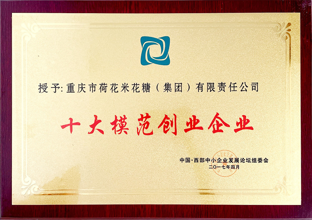 十大模范创业企业