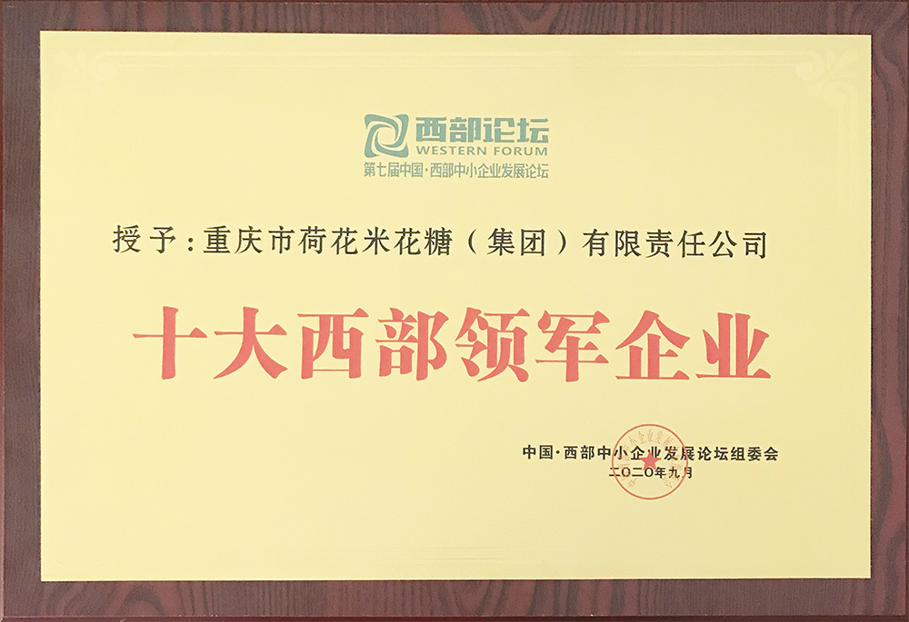 十大西部领军企业