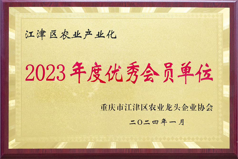 2023年度优秀会员单位