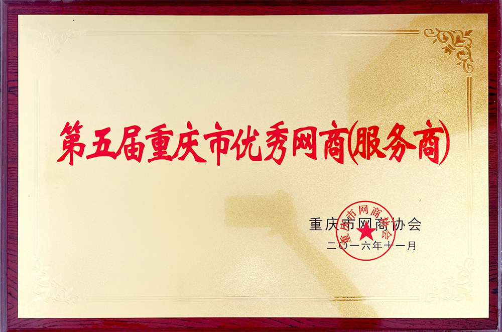 第五届优秀网商（服务商）