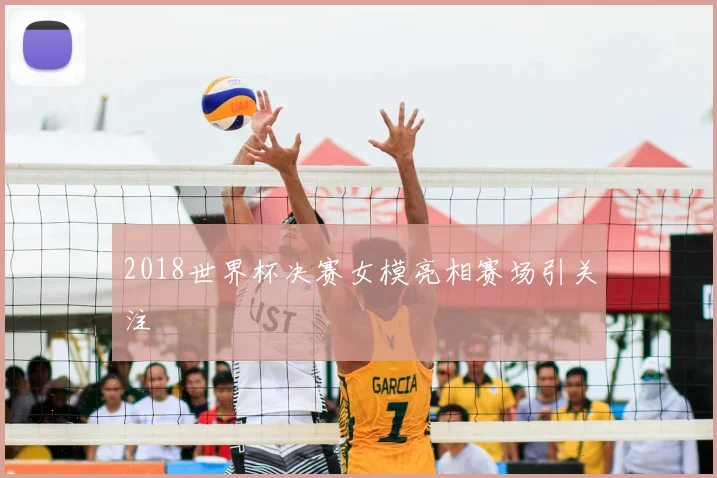 2018世界杯决赛女模亮相赛场引关注