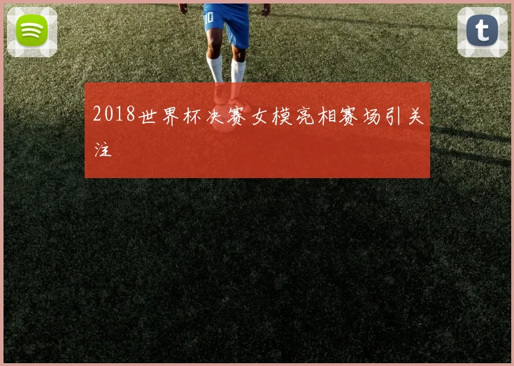 2018世界杯决赛女模亮相赛场引关注