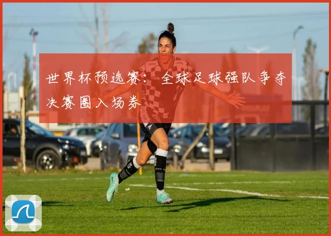 世界杯预选赛：全球足球强队争夺决赛圈入场券
