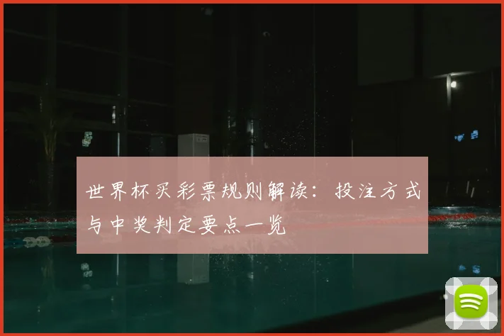 世界杯买彩票规则解读：投注方式与中奖判定要点一览